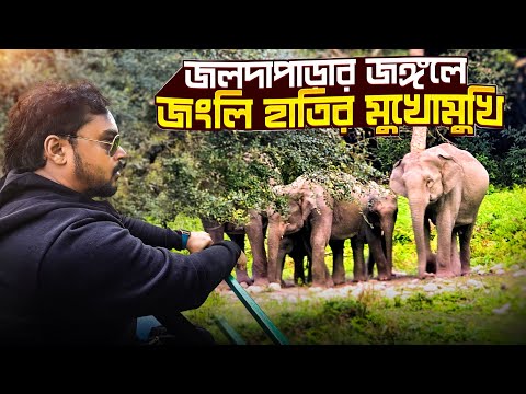 জলদাপাড়ায় জংলি হাতির মুখোমুখি | Jaldapara National Park | Jaldapara Safari | Dooars Jaldapara