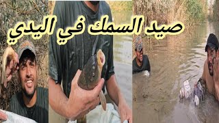 بسبب جفاف الانهر ظهور الأسماك الصيد بواسطه اليد