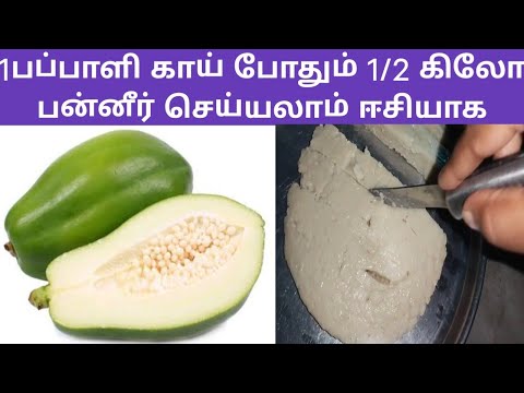 1பப்பாளி காய் போதும் 1/2கிலோ பன்னீர் செய்யலாம் ஈசியாக Healthy Paneer Easy Recipe #vegetarian #Snacks