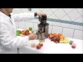 Ektor37 - Estrattore - Juice extractor