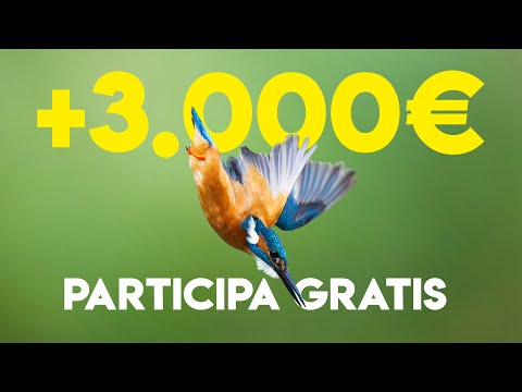 Voy a pagar +3.000€ a estas personas!