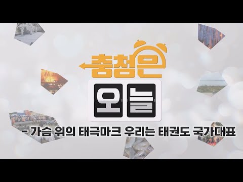 가슴 위의 태극마크 우리는 태권도 국가대표 / KBS대전 20250203 방송