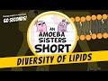 Understanding Lipids