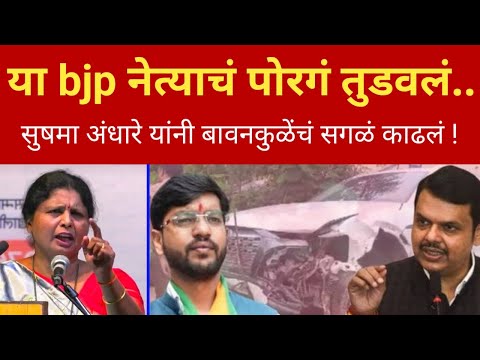 बावनकुळेंच्या मुलाला भर रस्त्यात तुडवला.. सुषमा अंधारे कडाडल्या Sushma Andhare on Bawankule Son Case