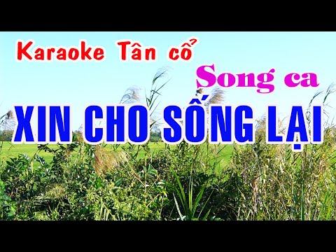 Karaoke tân cổ XIN CHO SỐNG LẠI – SONG CA [ Phương Bình – Phượng Liên ]