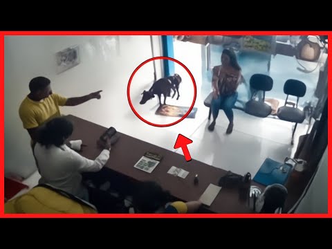 Cachorro GRITA Por SOCORRO em Clínica Veterinária, Só NÃO ESPERAVA que Isso Aconteceria...