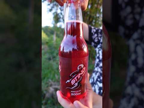 Uống thử chai Sting 500ml cute P1