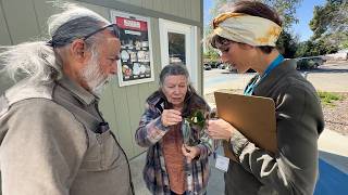 Jardines, abejas y ciencia: cómo cuidar tu patio en California - versión accesible