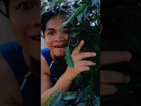 lady's in the river having trouble #shortsfeed #comedy #funny #funnyshorts #shorts