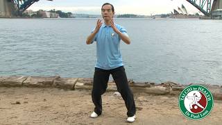 The Story of Dr Paul Lam's Life, Chapter 7: Arthritis and How Tai Chi Changed My Life
