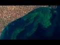 Understanding Algal Blooms and Monitoring