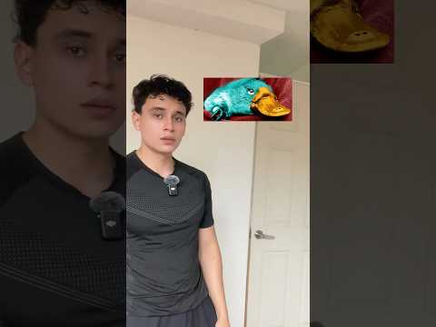 Mascotas que quería tener pero ahora ya no!😂#shorts #gracioso