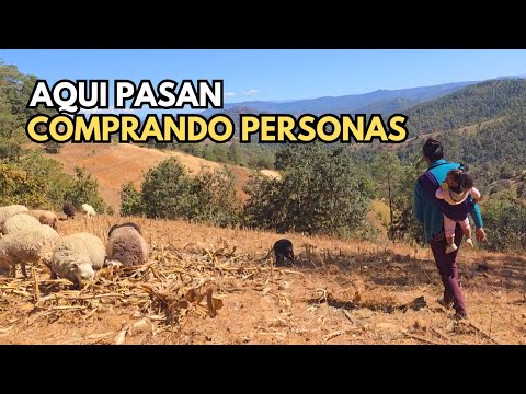 "Mi papá nos dijo que algún día nos quedaríamos solas"