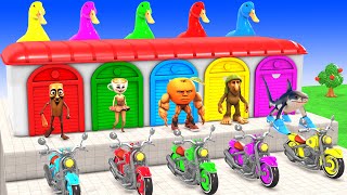 Long Slide Game With Tiger Cow Elephant Gorilla Hippopotamus 3d Animal Game Funny Animals 3d