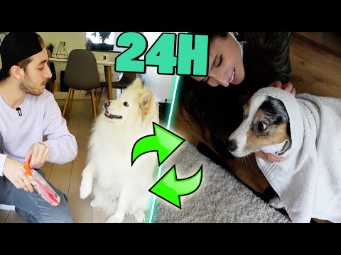 ON ECHANGE NOS CHIENS PENDANT 24H !