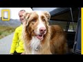 Avalanche Rescue Dog Training