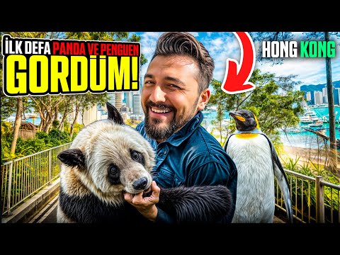 İLK DEFA PANDA VE PENGUEN GÖRDÜM | CHINA VLOG#3