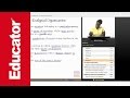 Ecology Concepts and Interactions