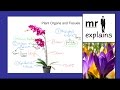 Plant Structure and Function Concepts