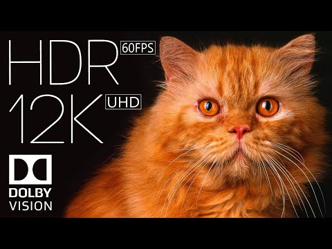 12K HDR 60fps Dolby Vision | Crystal Black