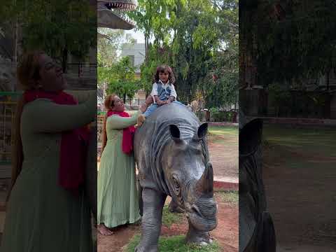 Surprise dinosaur lekin riteshna nahi Dargah? #shortvideo