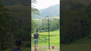 Golf In Hawaii! ⛰️       #golf #hawaii #golfswing #golfcourse #golfshorts #golflife #hawaiigolf