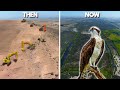 Colorado River Ecosystem Restoration