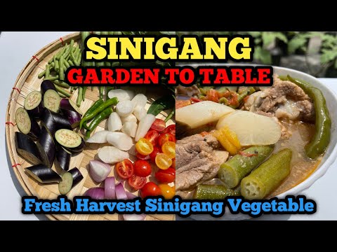 SINIGANG na galing sa aking container Garden #Sinigang #pinoyfood #pinoyurbangardener