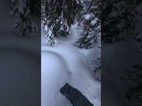 Sneaky powder lines at Vail 🤫#snowboarding