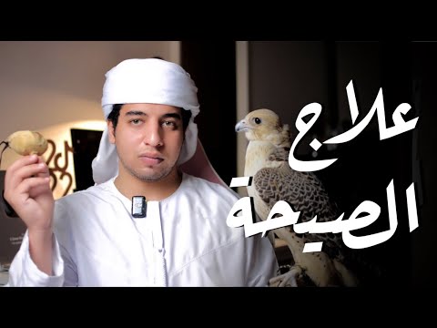 نصائح ذهبية لحل مشكلة الصيحة في الصقور