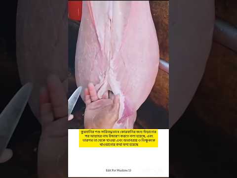 ইসলামের গুরুত্বপূর্ণ বিধান ও বিশেষ ইবাদত কোরবানি - Edit For Muslims 13 #reels #respect #কোরবানীর_গরু