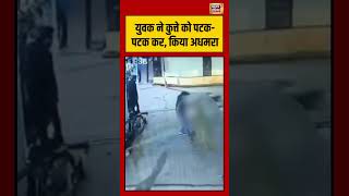 युवक ने कुत्ते को पटक पटक कर, किया अधमरा | #viralvideo #viralnews #upnews #shorts