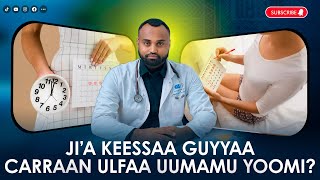 Laguun erga badee Guyyaa Carraan ulfa tahuu itti uumamu
