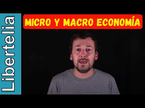 Microeconomía y Macroeconomía | Libertelia microeconomia