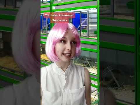 Девушка пришла купить попугаев для птицееда #shorts