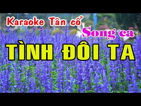 Karaoke tân cổ TÌNH ĐÔI TA – SONG CA [ Minh Cảnh – Mỹ Châu]