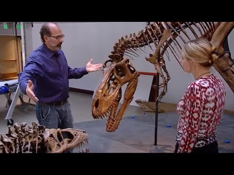 T-Rex Growth Spurt How To Build A Dinosaur BBC