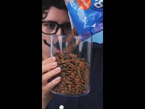 Smart DIY Feeder for the Naughty Fox ๐ฆ๐ฝ๏ธ #diy #pranks #fun