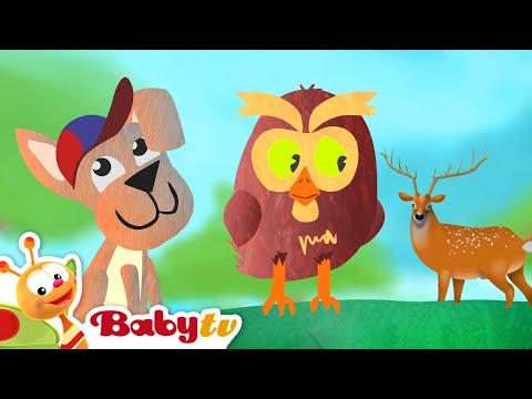 avestruz - el ave más grande del mundo | aprende sobre animales @BabyTVSP