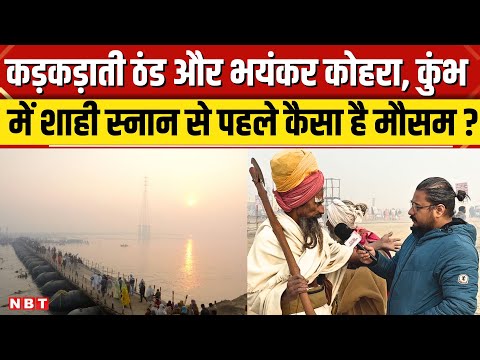 Prayagraj Mahakumbh 2025: शाही स्नान से पहले कैसा मौसम, कोहरे में डूबा प्रयागराज, ठंडी हवा का प्रकोप