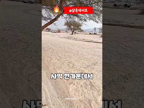 사막에 흐르는 강의 비밀!!