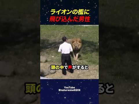 ライオンの檻に飛び込んだ男性☠️