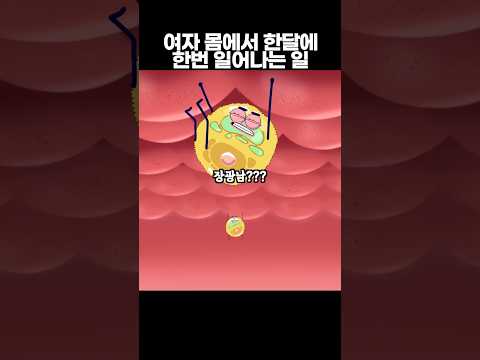 여자 몸에서 매달 일어나는 것은?