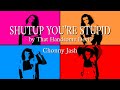 Understanding the Video Transcript