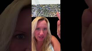 Which Route Did Wendi Take??