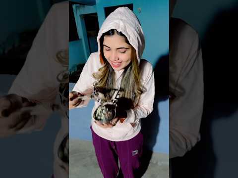 Ulti karni padegi ab😳🤣🤣🤣 #shortvideo #comedy #funny