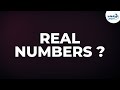 Understanding Real Numbers