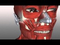 Facial Muscle Functions and Actions