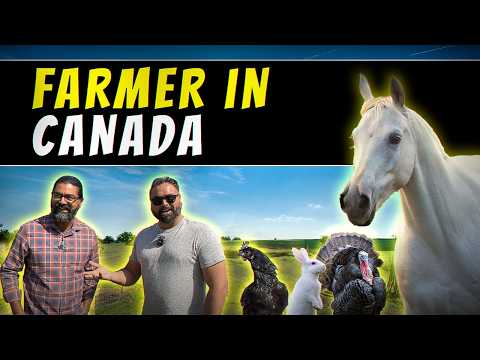 Living On The Farm In CANADA