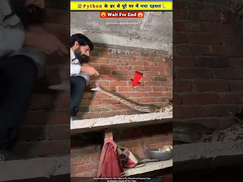 मुरली सर ने किया 10 फीट लंबा python का rescue 😱🐍